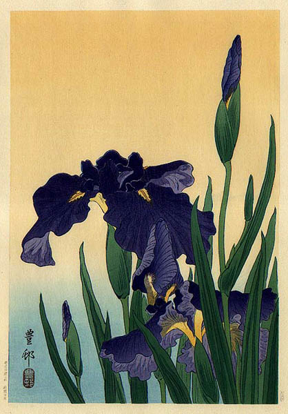hanga gallery . . . torii gallery: Flowering Iris by Ohara Koson